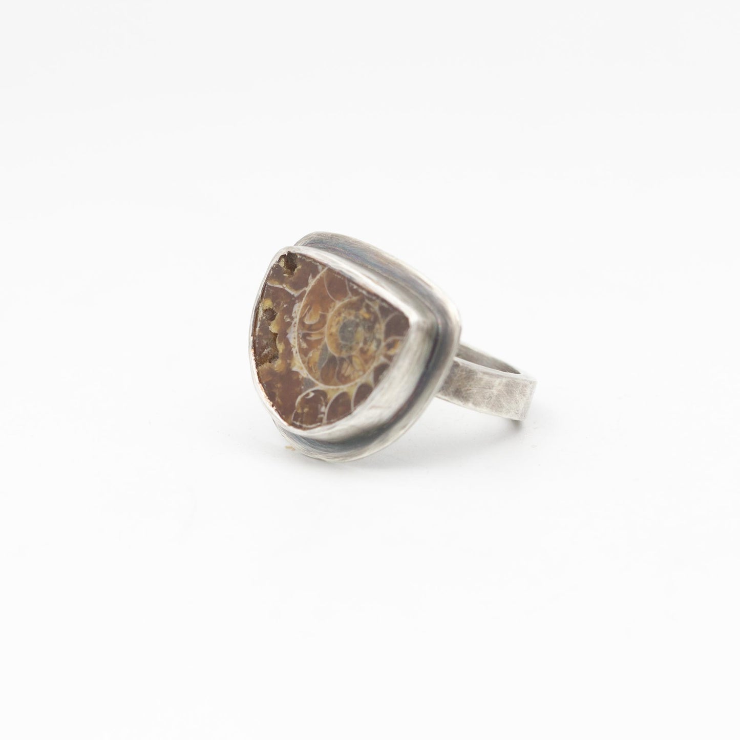 Ammonite Ring Sterling Silver Size 8