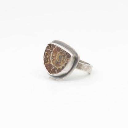 Ammonite Ring Sterling Silver Size 8