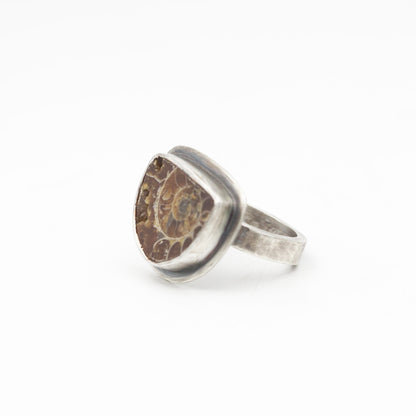 Ammonite Ring Sterling Silver Size 8