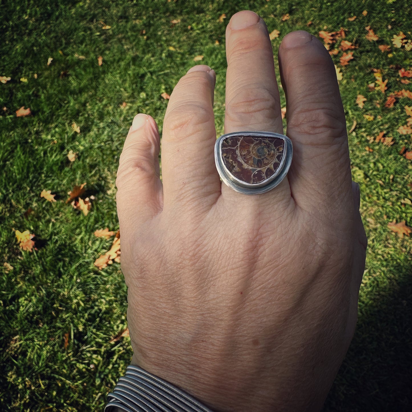 Ammonite Ring Sterling Silver Size 8