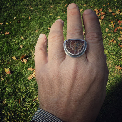 Ammonite Ring Sterling Silver Size 8