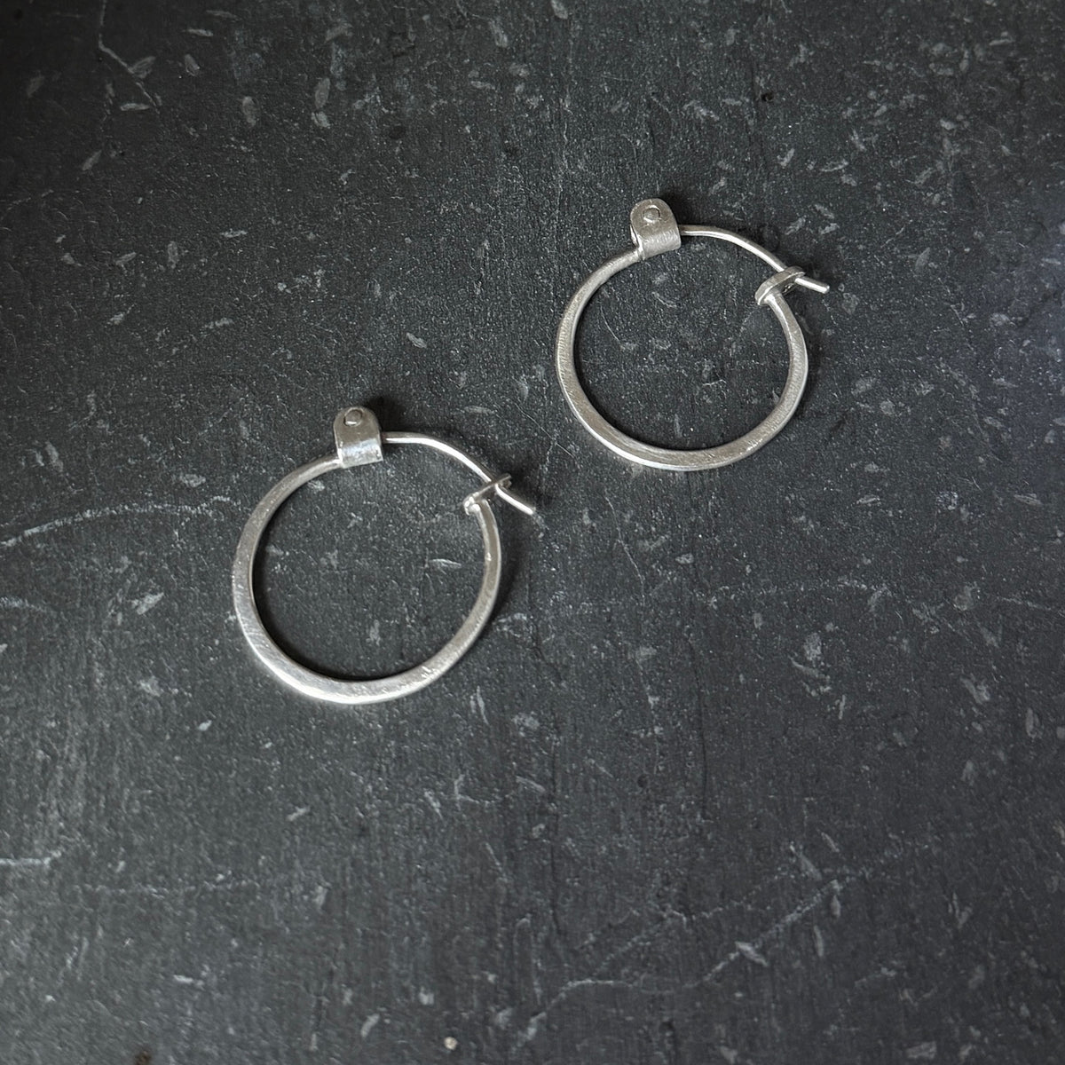 Apollonia Sterling Silver Hoops